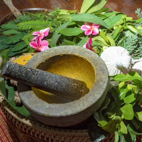 Ayurvedic herbs